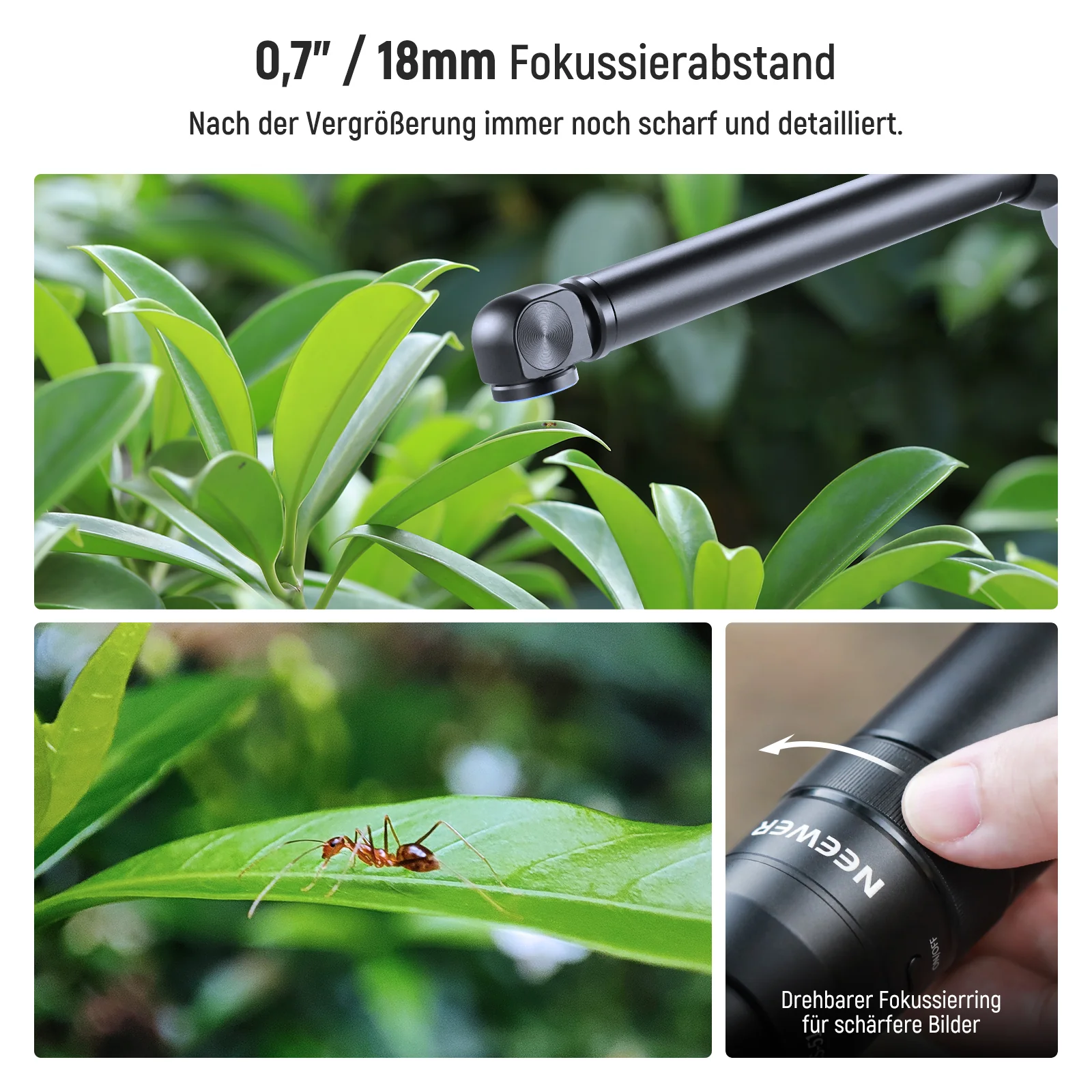 Vorschaubild 15