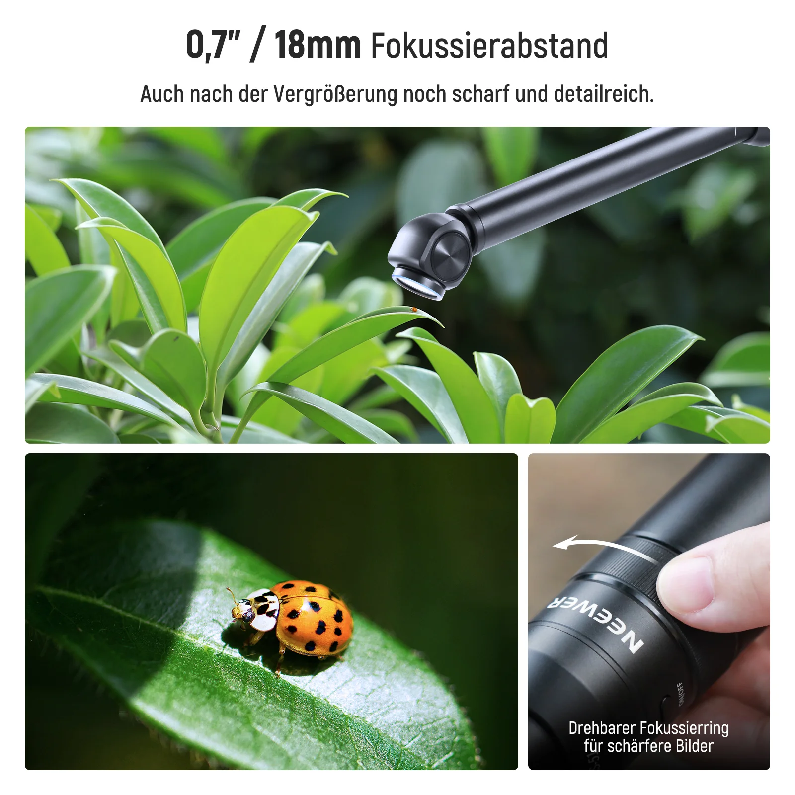 Vorschaubild 23
