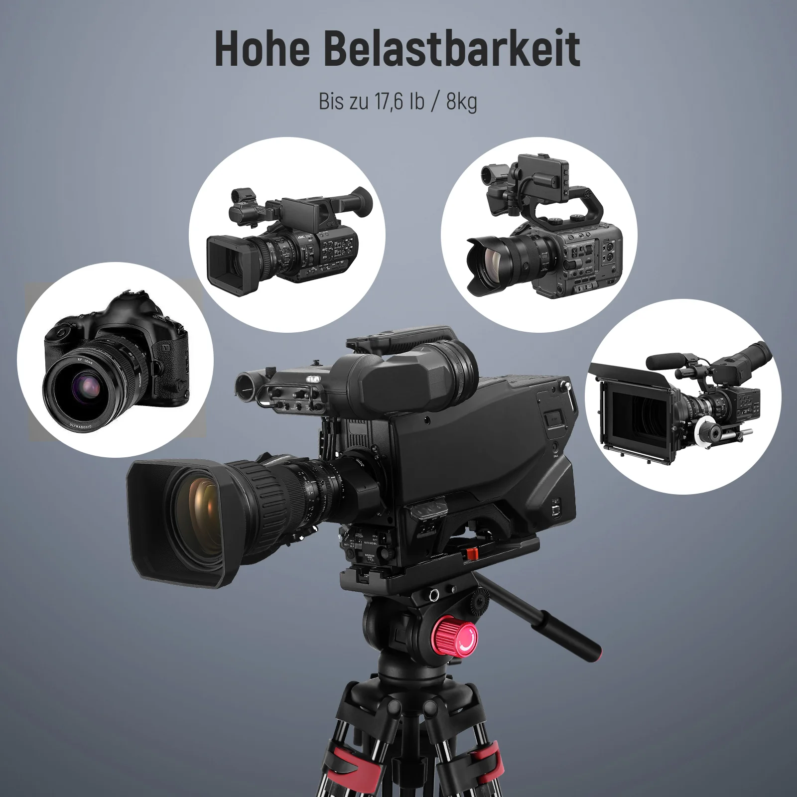 Vorschaubild 5