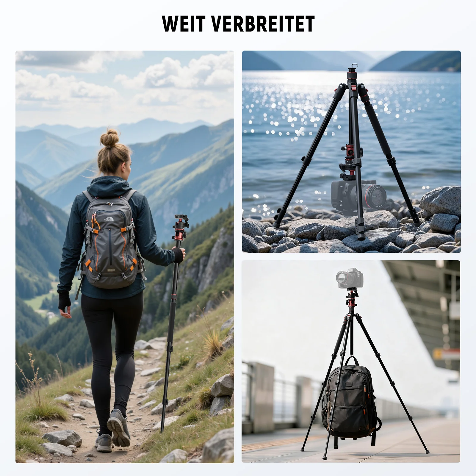 Vorschaubild 7