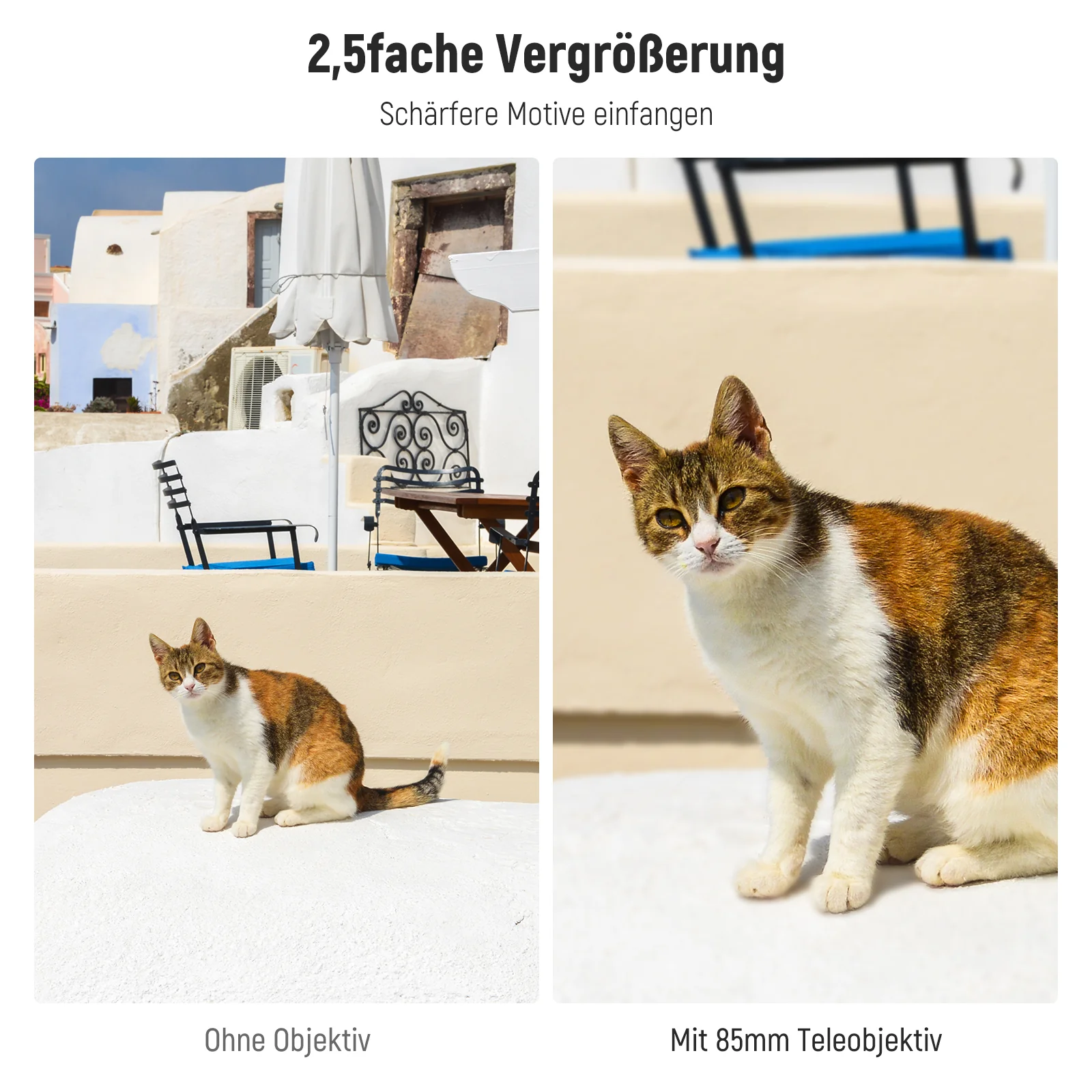 Vorschaubild 11