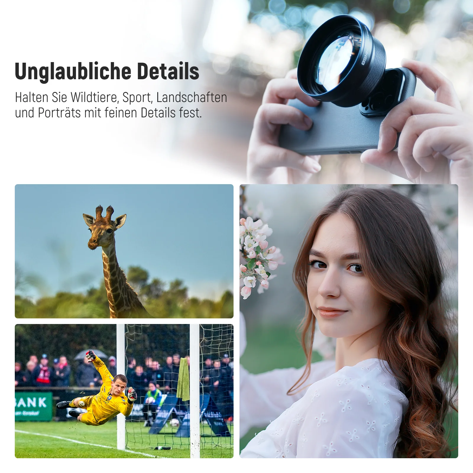 Vorschaubild 8