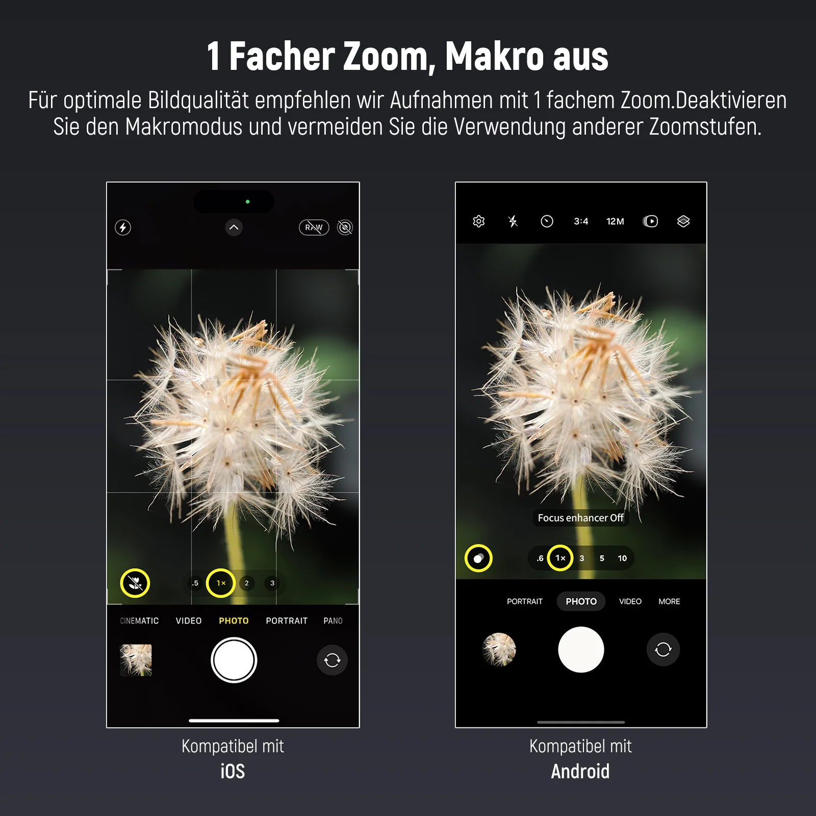 Vorschaubild 8