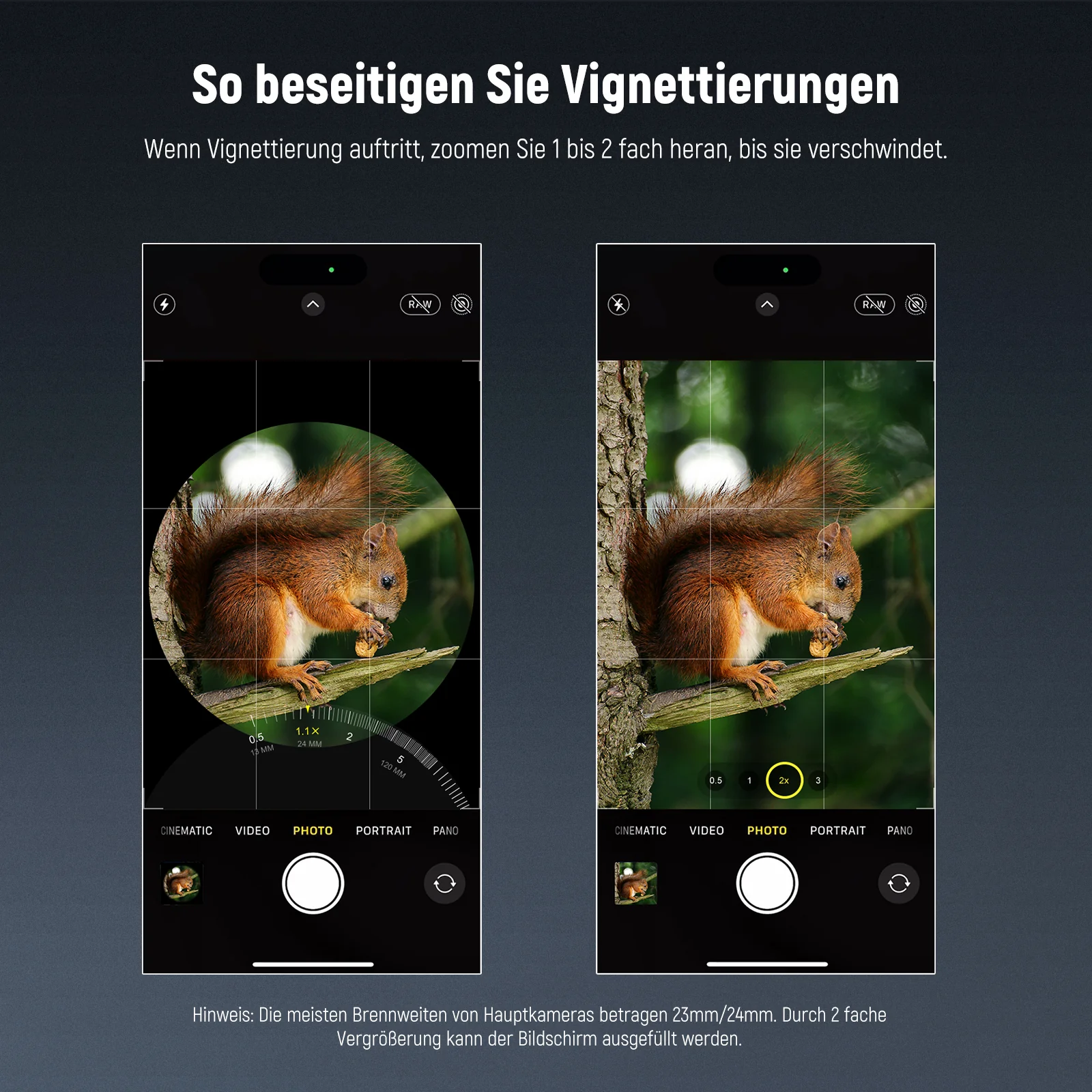 Vorschaubild 6