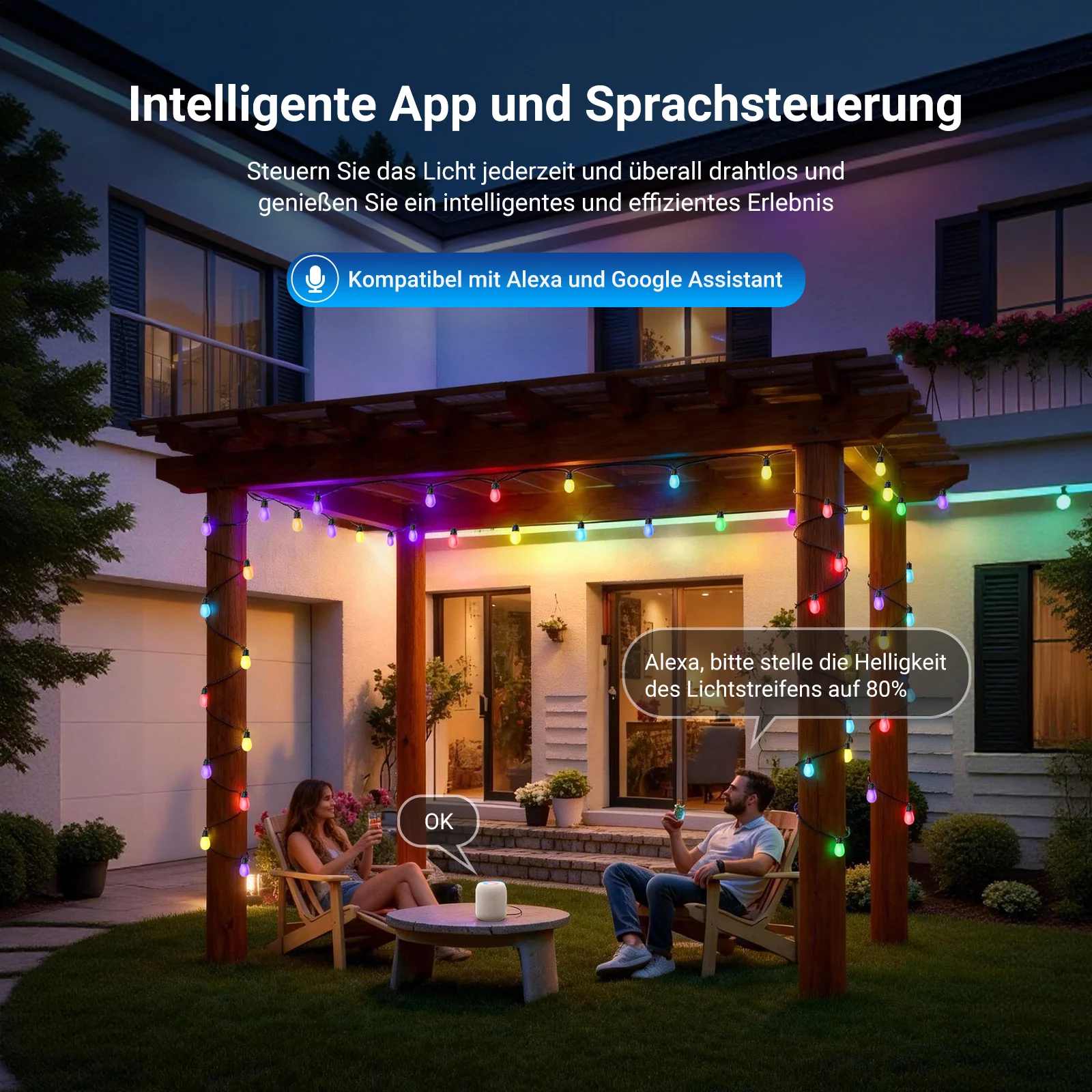 Vorschaubild 25