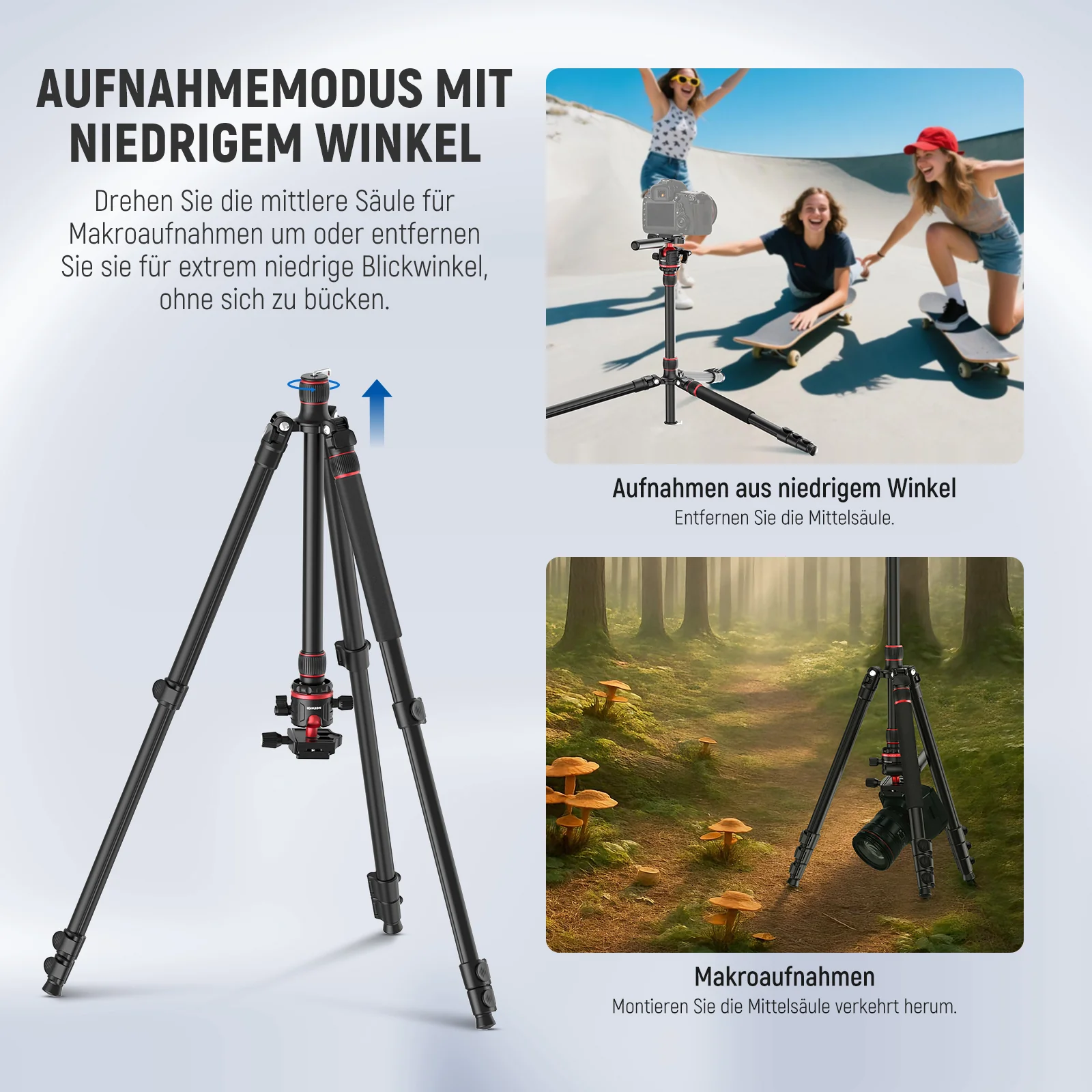 Vorschaubild 5