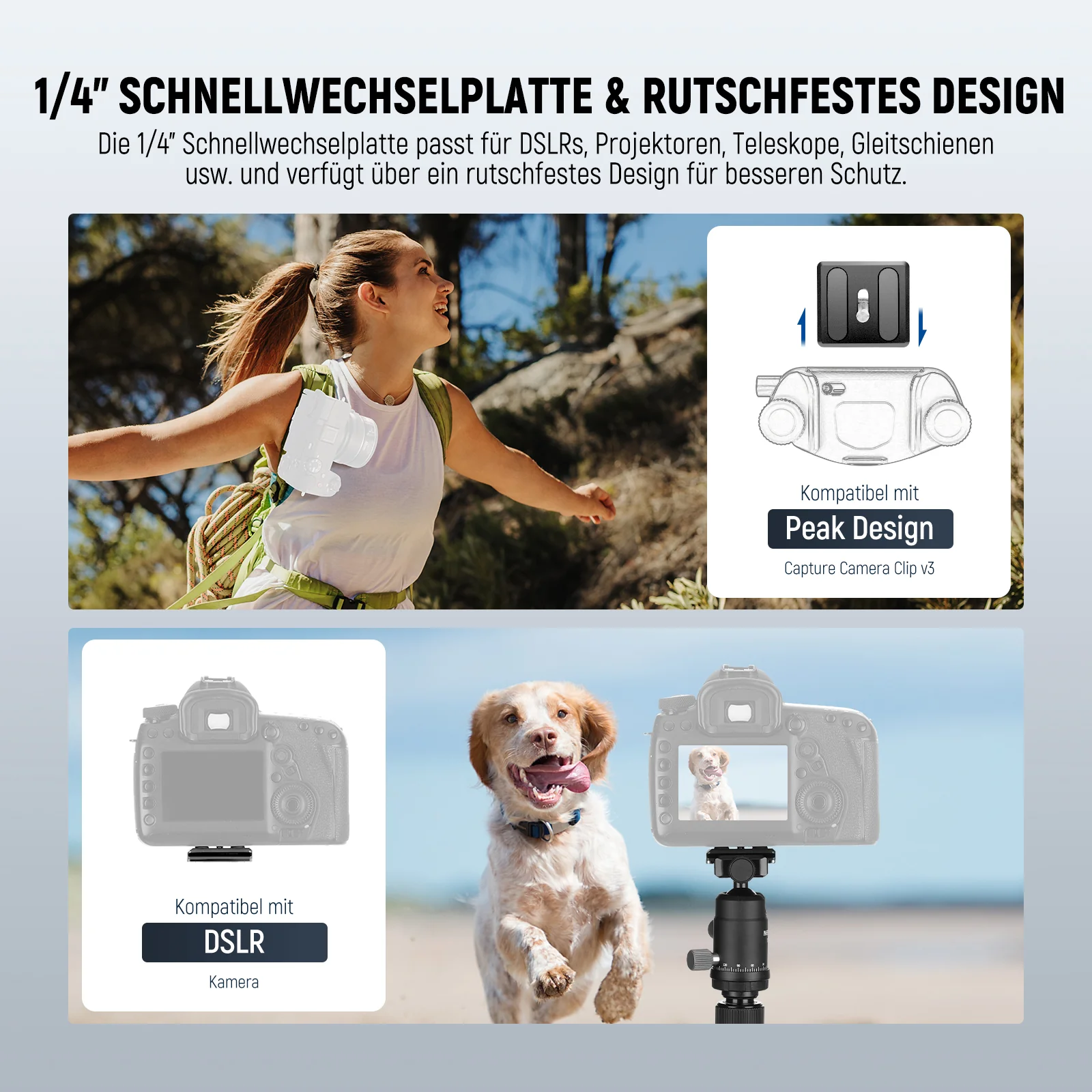 Vorschaubild 8
