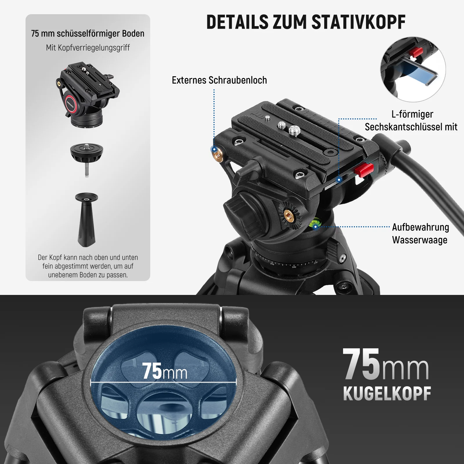 Vorschaubild 7