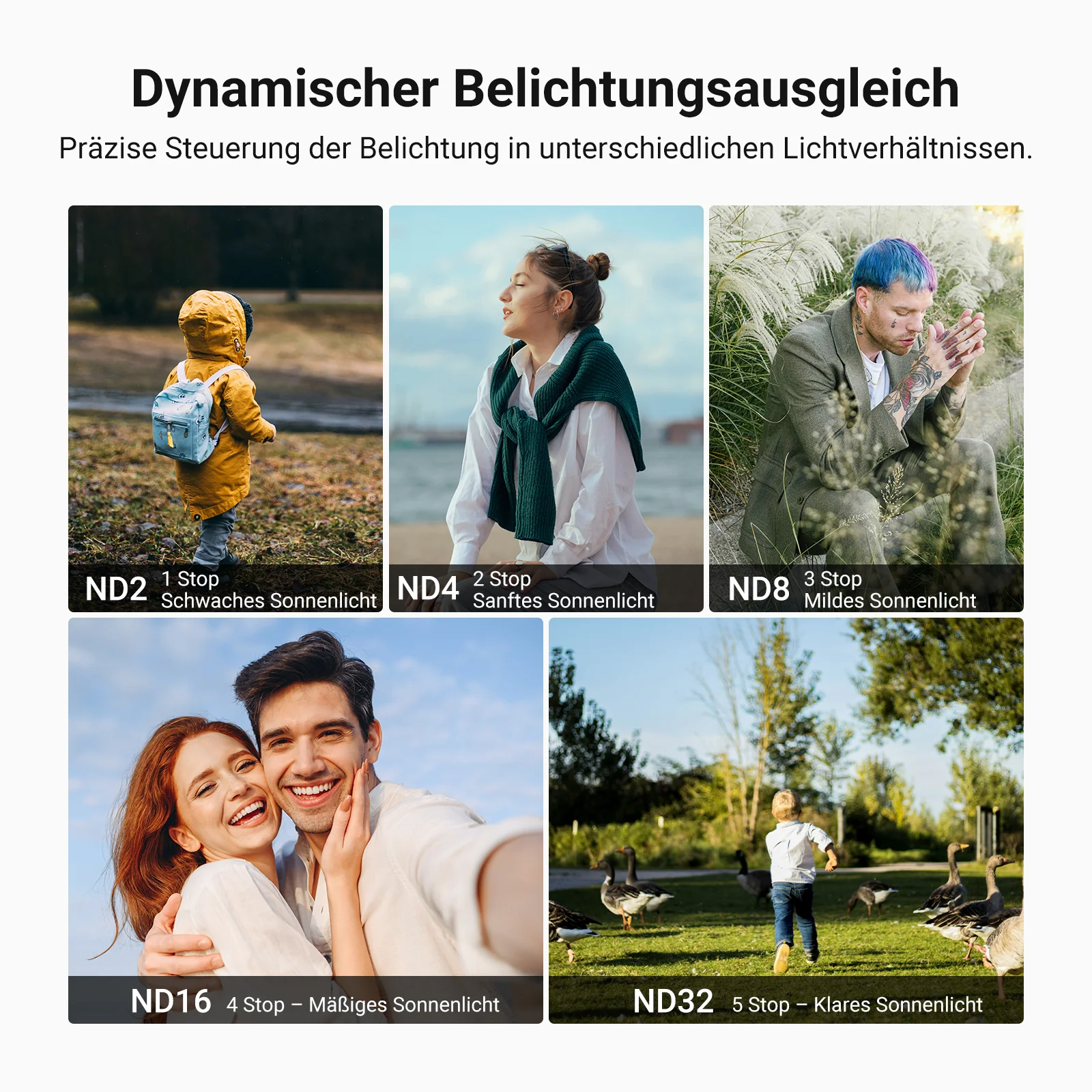 Vorschaubild 4