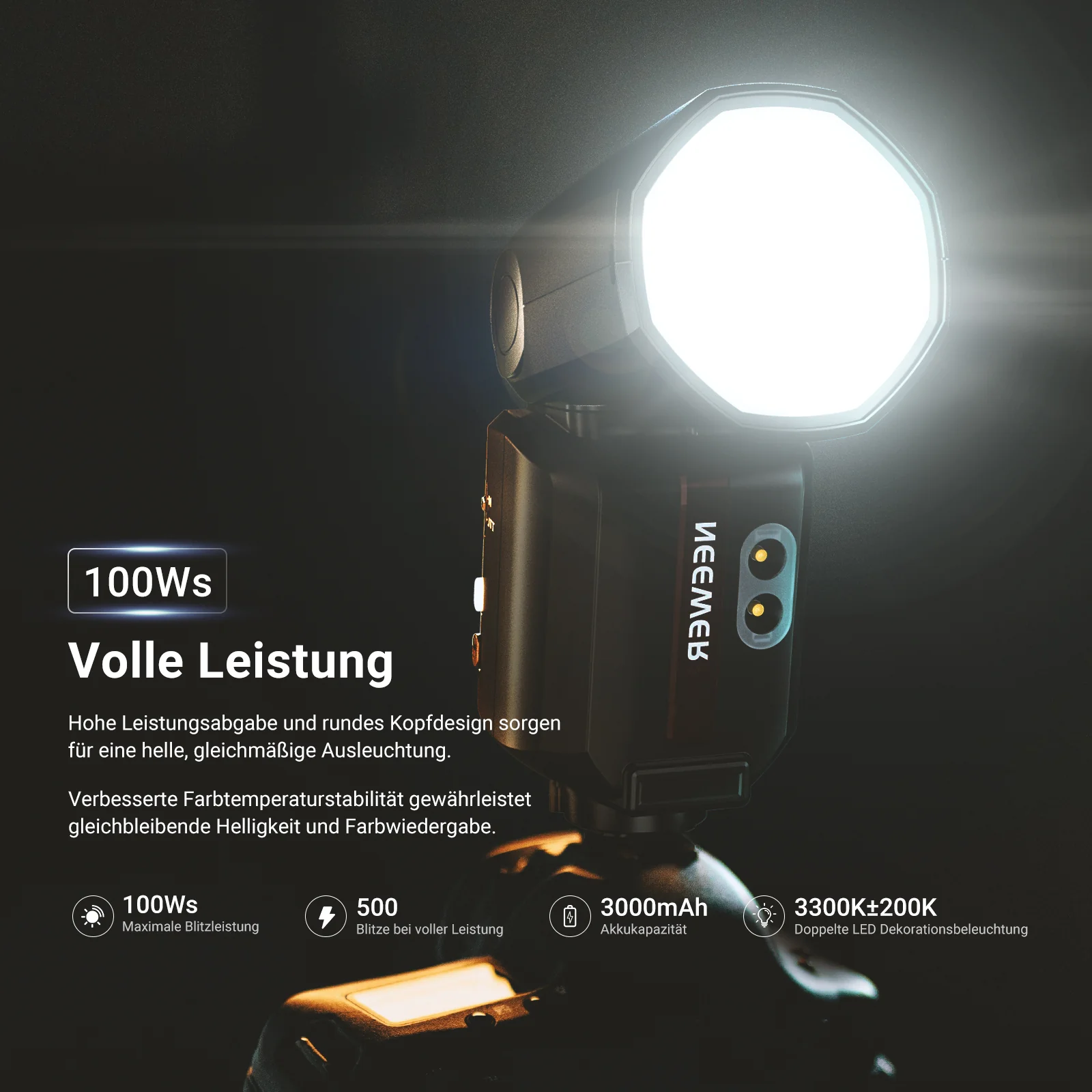 Vorschaubild 13